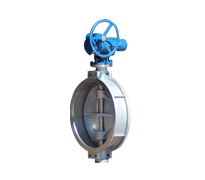 DN 700 Stainless Steel Butterfly Valve